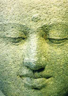 Face of the Buddha